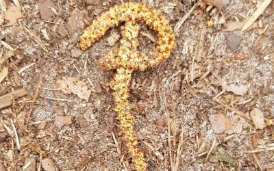 Schreib mal wie­der was … Ich erschaf­fe eine Figur