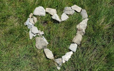 TAG 7 #Lyrik­no­vem­ber: Liebe