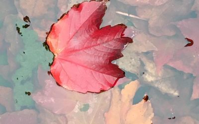 Tag 2 #Lyrik­no­vem­ber: Regen