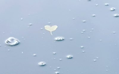 Tag 5 #Lyrik­no­vem­ber: Wasser