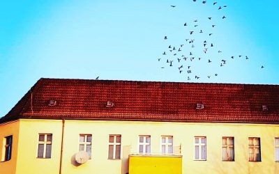 Tag 6 #Lyrik­no­vem­ber: Erinnerung